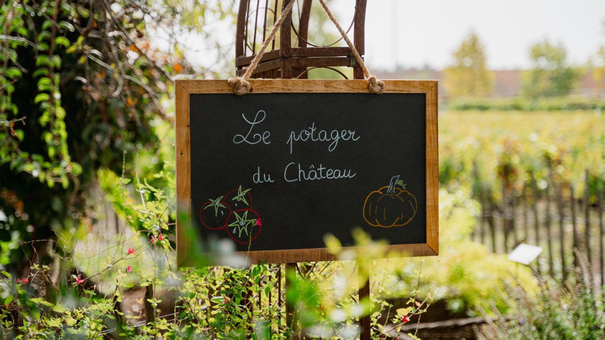 Chateau Pape Clement Pessac Exterior foto